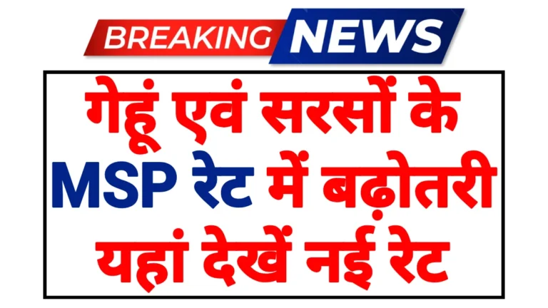 MSP Rate Update 2026