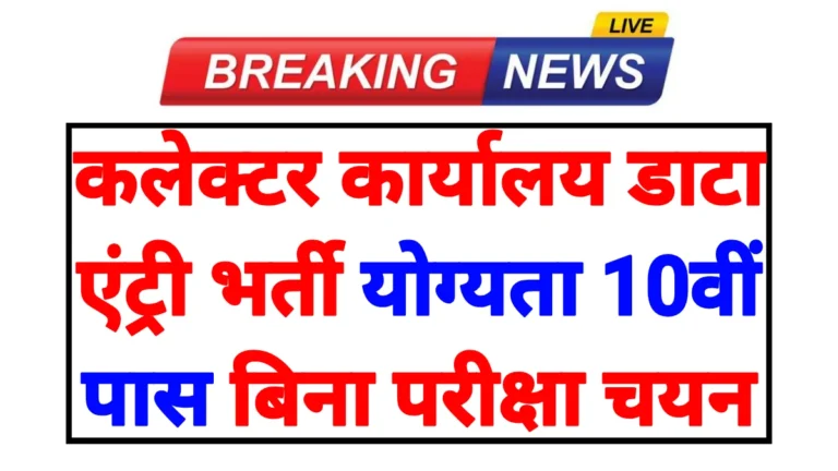 Collector Office Data Entry Vacancy